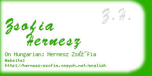 zsofia hernesz business card